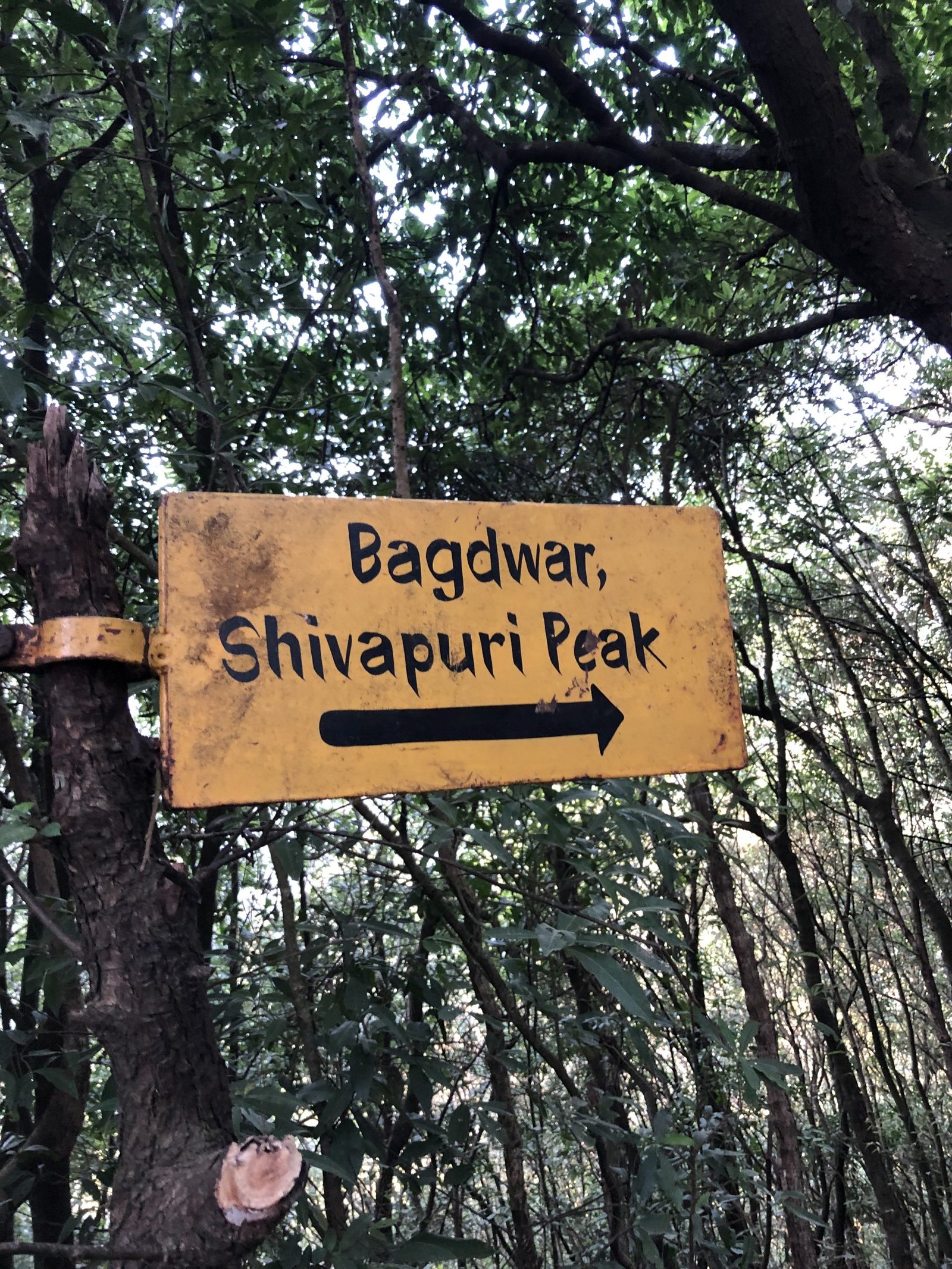 Shivapuri: Serenity with adventures