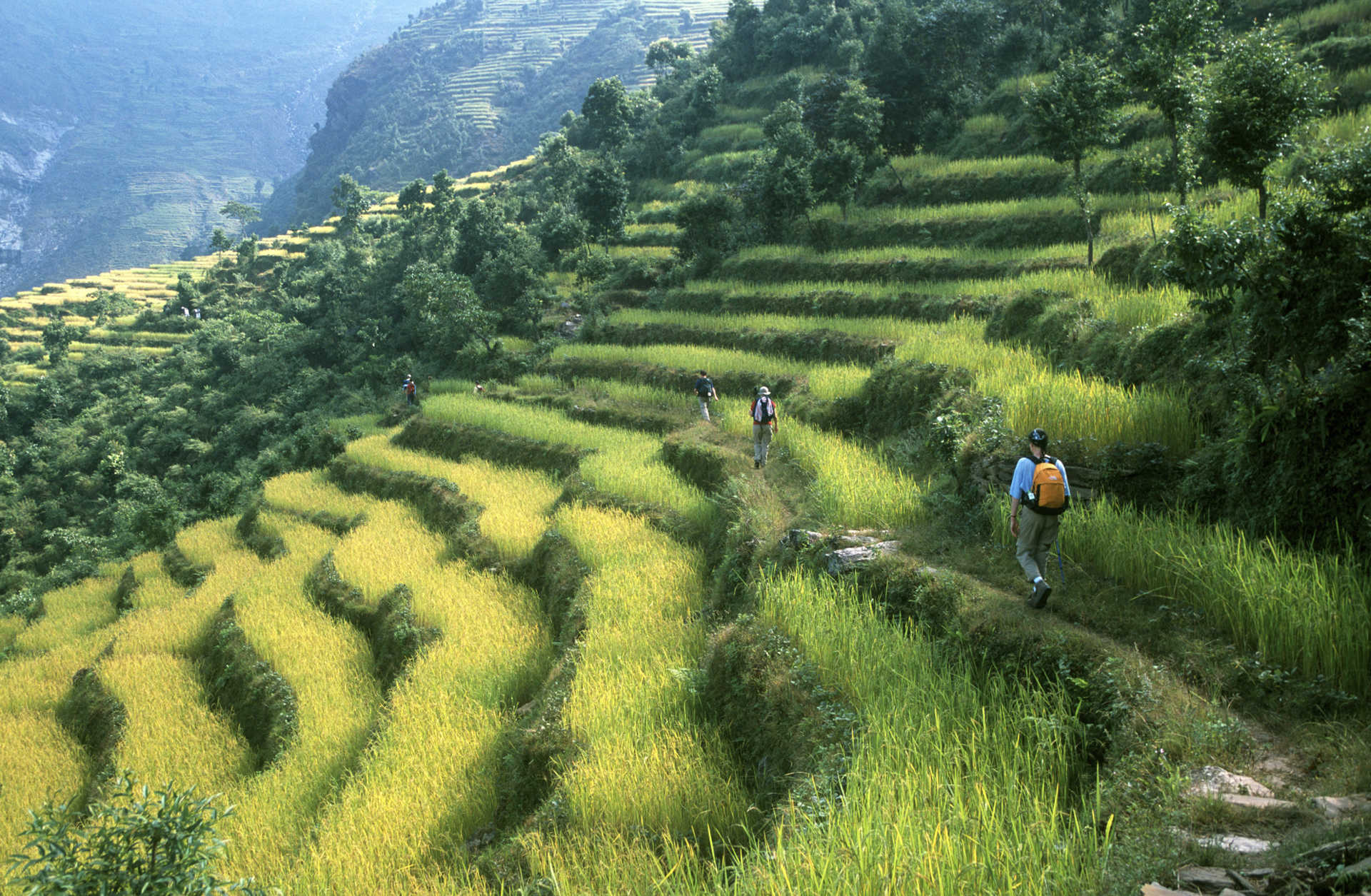 7 Reasons Why Trekking in Nepal is an Unforgettable Adventure